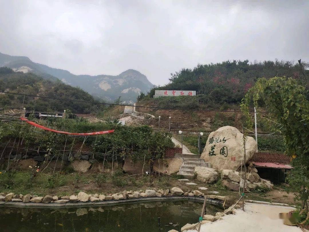 【惊!原来的知识盲点全被填满了】一个名为拌面如何挂味道好吃?的冷知识分享平台!