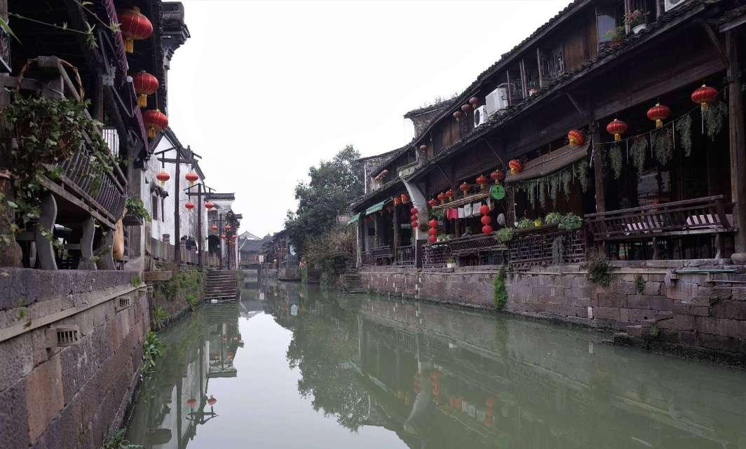 为什么春节吃饺子知识星球平台-全面深度的知识分享社区